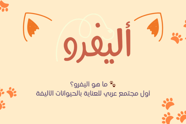 🐾 ما هو أليفرو؟ أول مجتمع عربي للعناية بالحيوانات الأليفة